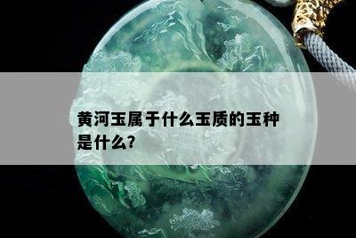 黄河玉属于什么玉质的玉种是什么？