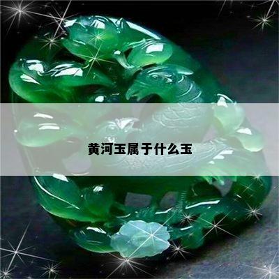 黄河玉属于什么玉