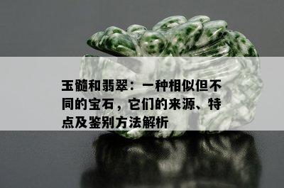 玉髓和翡翠：一种相似但不同的宝石，它们的来源、特点及鉴别方法解析