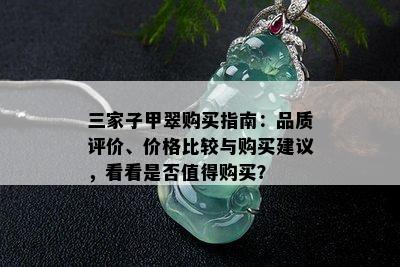 三家子甲翠购买指南：品质评价、价格比较与购买建议，看看是否值得购买？