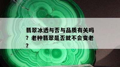 翡翠冰透与否与品质有关吗？老种翡翠是否就不会变老？