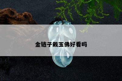 金链子戴玉佛好看吗