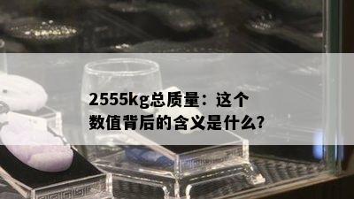 2555kg总质量：这个数值背后的含义是什么？