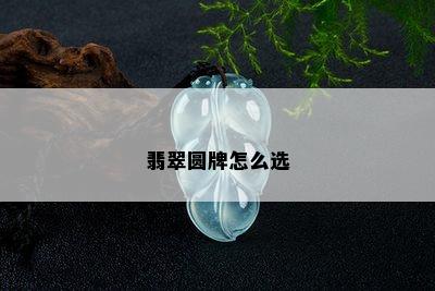 翡翠圆牌怎么选