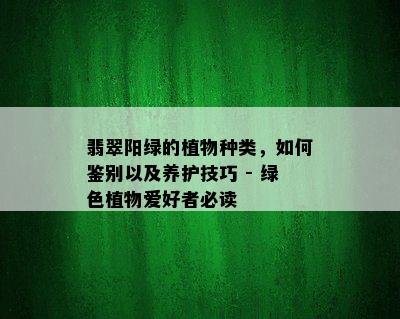 翡翠阳绿的植物种类，如何鉴别以及养护技巧 - 绿色植物爱好者必读