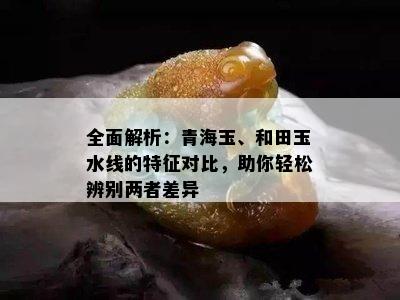 全面解析：青海玉、和田玉水线的特征对比，助你轻松辨别两者差异