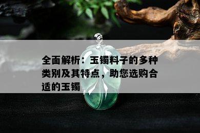 全面解析：玉镯料子的多种类别及其特点，助您选购合适的玉镯