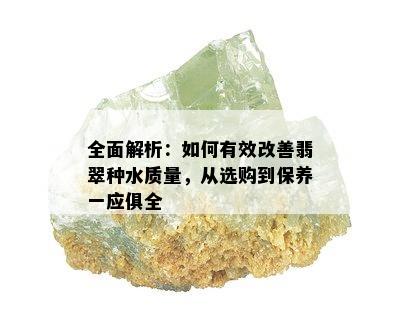 全面解析：如何有效改善翡翠种水质量，从选购到保养一应俱全