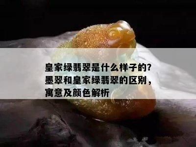 皇家绿翡翠是什么样子的？墨翠和皇家绿翡翠的区别，寓意及颜色解析