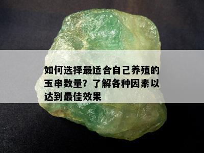 如何选择最适合自己养殖的玉串数量？了解各种因素以达到更佳效果