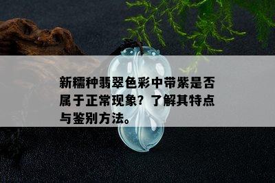 新糯种翡翠色彩中带紫是否属于正常现象？了解其特点与鉴别方法。