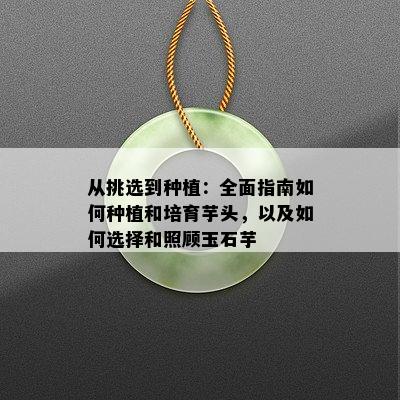 从挑选到种植：全面指南如何种植和培育芋头，以及如何选择和照顾玉石芋