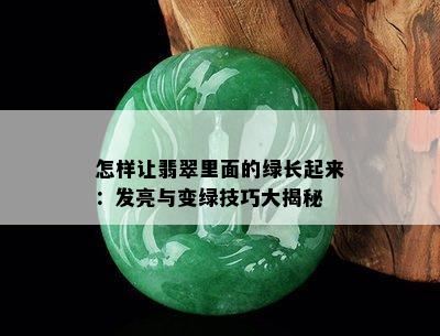 怎样让翡翠里面的绿长起来：发亮与变绿技巧大揭秘