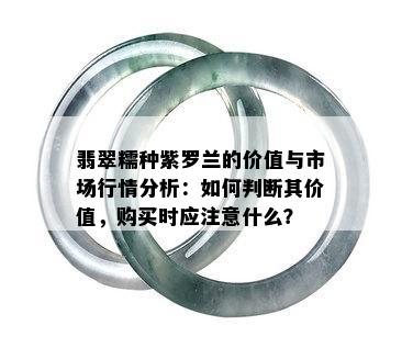 翡翠糯种紫罗兰的价值与市场行情分析：如何判断其价值，购买时应注意什么？