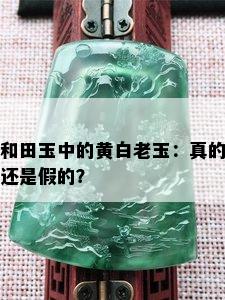 和田玉中的黄白老玉：真的还是假的？