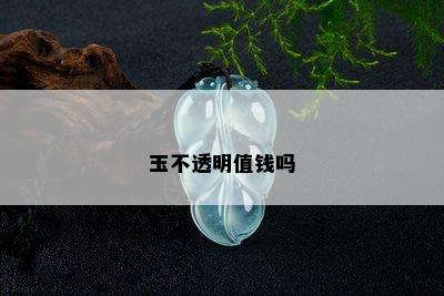 玉不透明值钱吗