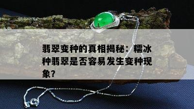 翡翠变种的真相揭秘：糯冰种翡翠是否容易发生变种现象？