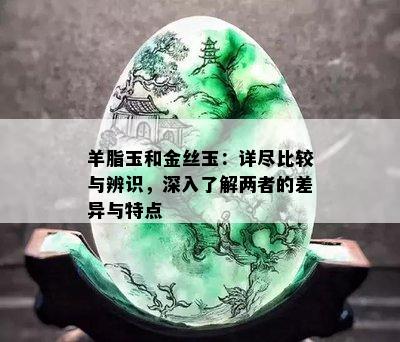 羊脂玉和金丝玉：详尽比较与辨识，深入了解两者的差异与特点