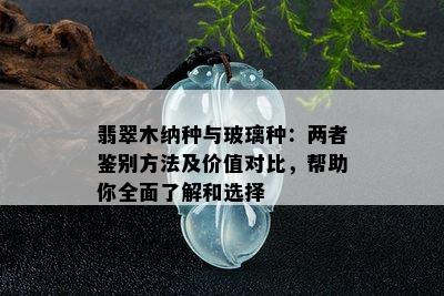 翡翠木纳种与玻璃种：两者鉴别方法及价值对比，帮助你全面了解和选择