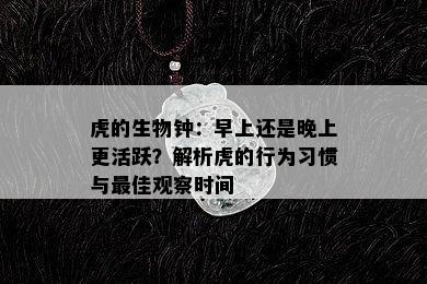 虎的生物钟：早上还是晚上更活跃？解析虎的行为习惯与更佳观察时间