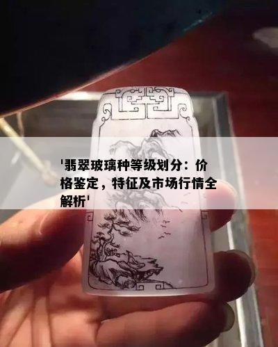 '翡翠玻璃种等级划分：价格鉴定，特征及市场行情全解析'