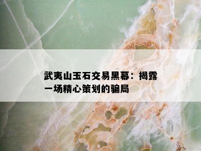 武夷山玉石交易黑幕：揭露一场精心策划的骗局