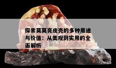 探索莫莫亮皮壳的多种用途与价值：从美观到实用的全面解析