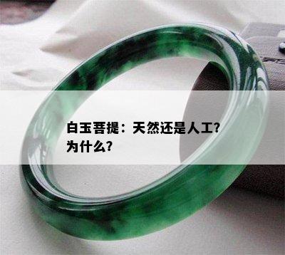 白玉菩提：天然还是人工？为什么？