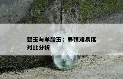 碧玉与羊脂玉：养殖难易度对比分析