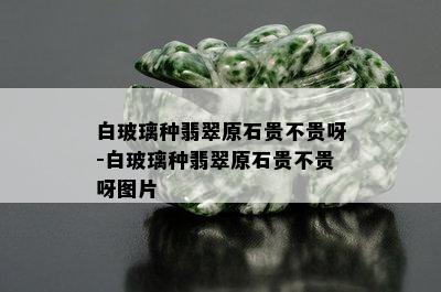 白玻璃种翡翠原石贵不贵呀-白玻璃种翡翠原石贵不贵呀图片