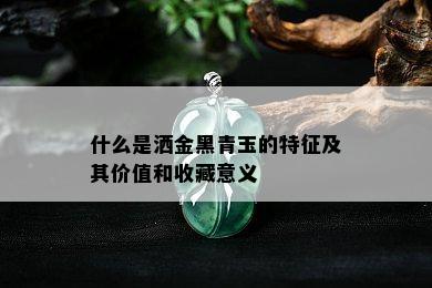 什么是洒金黑青玉的特征及其价值和收藏意义