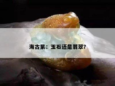 海古紫：玉石还是翡翠？