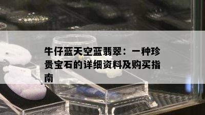 牛仔蓝天空蓝翡翠：一种珍贵宝石的详细资料及购买指南