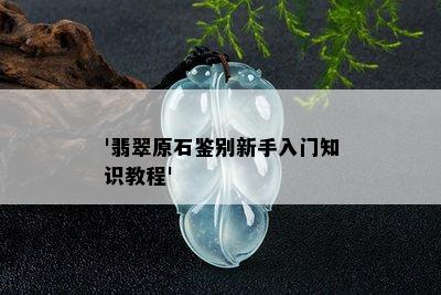 '翡翠原石鉴别新手入门知识教程'