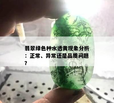 翡翠绿色种水透黄现象分析：正常、异常还是品质问题？