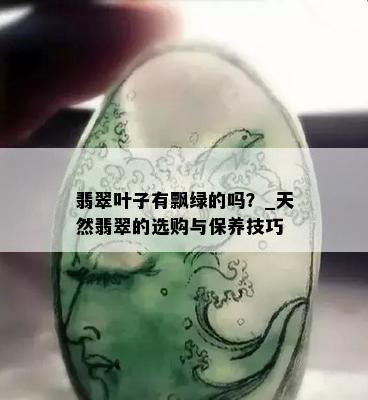 翡翠叶子有飘绿的吗？_天然翡翠的选购与保养技巧