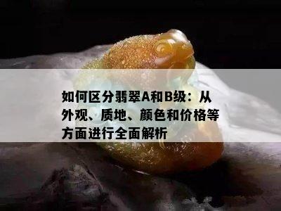 如何区分翡翠A和B级：从外观、质地、颜色和价格等方面进行全面解析