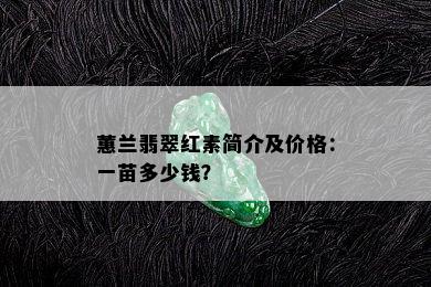 蕙兰翡翠红素简介及价格：一苗多少钱？