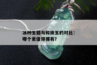 冰种玉髓与和田玉的对比：哪个更值得拥有？