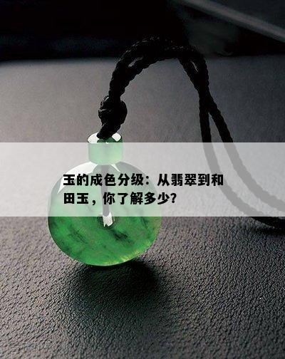 玉的成色分级：从翡翠到和田玉，你了解多少？