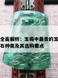 全面解析：玉镯中最贵的玉石种类及其选购要点