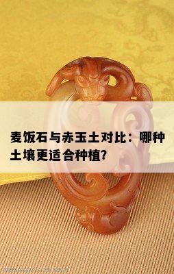 麦饭石与赤玉土对比：哪种土壤更适合种植？