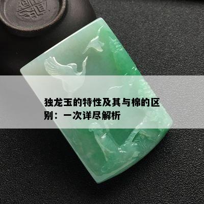 独龙玉的特性及其与棉的区别：一次详尽解析