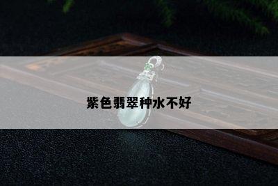 紫色翡翠种水不好