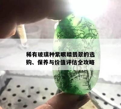 稀有玻璃种紫眼睛翡翠的选购、保养与价值评估全攻略