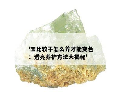 '玉比较干怎么养才能变色：透亮养护方法大揭秘'