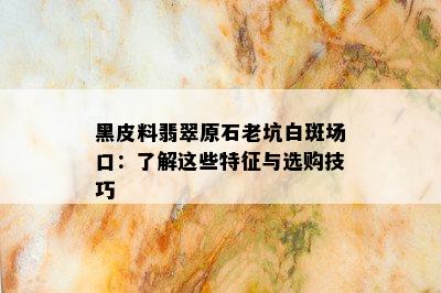 黑皮料翡翠原石老坑白斑场口：了解这些特征与选购技巧