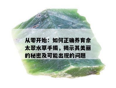 从零开始：如何正确养育佘太翠水草手镯，揭示其美丽的秘密及可能出现的问题