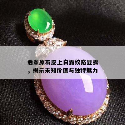 翡翠原石皮上白霜纹路显露，揭示未知价值与独特魅力