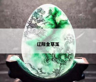 辽阳金草玉